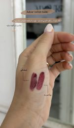 ولوت بالم ادُر - تصویر 13