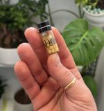 Skin multi VIT - تصویر 2